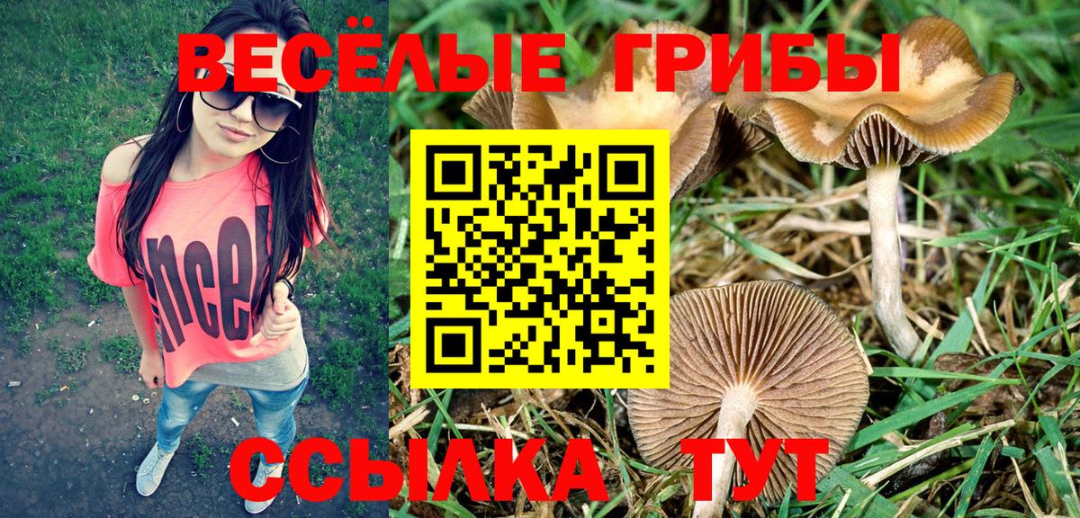 Псилоцибиновые грибы GOLDEN TEACHER  Вход с VPN  Пятигорск 